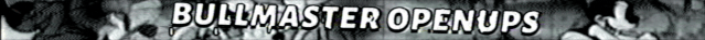 [Image: standard-1.gif]