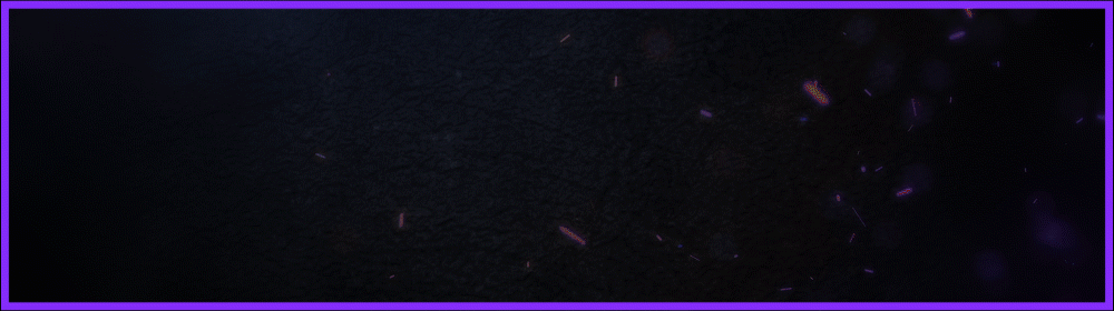 [Image: fHYUSr6.gif]