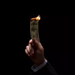 monclerjacket's Avatar'