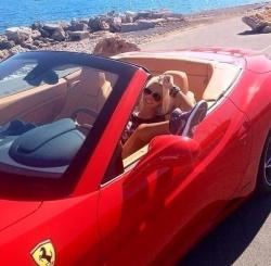 anotherman's Avatar'