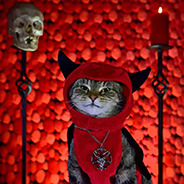 Coxn0941's Avatar'