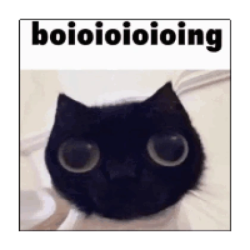 IlIlIlIlIlIl's Avatar'
