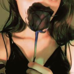 bl4ckxr0se's Avatar'