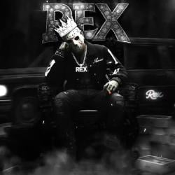 rex's Avatar'