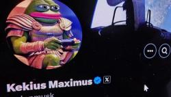 muskelon's Avatar'