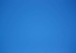 Bluuu's Avatar'